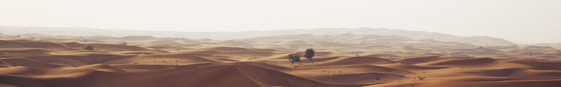 人շʱĻý޹˾